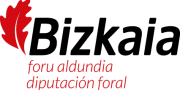 Bizkaia Forualdundia - Centro AMINE